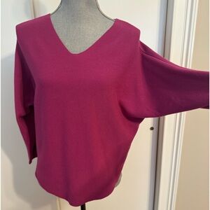 Vita Milano size, small hot pink sweater
